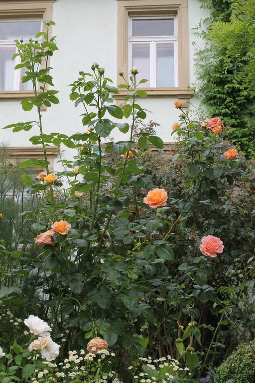 Maison Mille Fleurs Sankt Julian Екстериор снимка